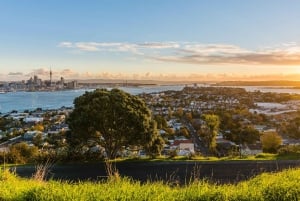 Auckland: Tour privado de la ciudad con el Monte Victoria y el Monte Eden