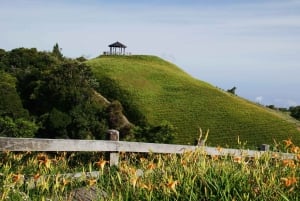 Auckland: Eden-vuoren kanssa.