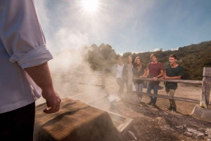 Auckland: Tour privado a Waitomo y el Valle de Te Puia