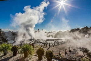 Auckland: Prywatna wycieczka do Waitomo i doliny Te Puia