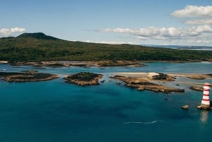 Auckland: Rangitoto Island