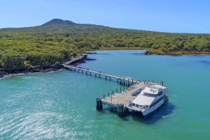 Auckland: Bilet powrotny na prom na wyspę Rangitoto