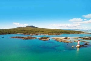 Auckland: Rangitoto Island