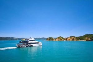 Auckland: Ferry de ida y vuelta a la isla de Rotoroa