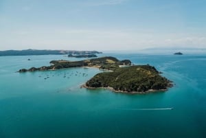 Auckland: Ferry de ida y vuelta a la isla de Rotoroa