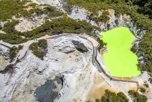 Auckland: Rotorua-dagstur inkl. Wai-O-Tapu & Polynesian Spa