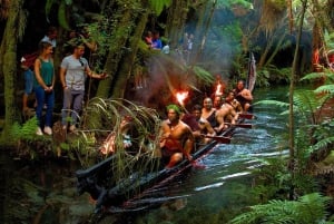 Auckland: Rotorua Māori Cultural & Geothermal Tour & Lounas