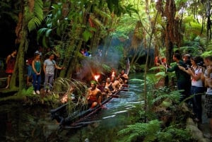 Auckland: Rotorua Māori Cultural & Geothermal Tour & Lounas