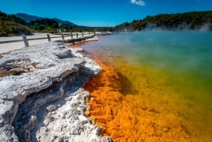 Auckland: Rotorua Māori Cultural & Geothermal Tour & Lounas