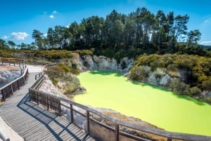 Auckland: Rotorua Māori Cultural & Geothermal Tour & Lounas