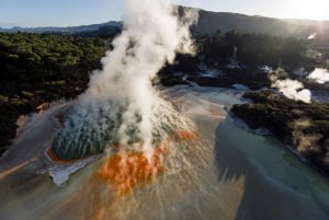 Auckland: Rotorua Māori Cultural & Geothermal Tour & Lounas