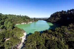 Auckland: Rotorua Māori Cultural & Geothermal Tour & Lounas