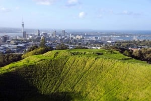 Visita panorámica de medio día por la ciudad de Auckland