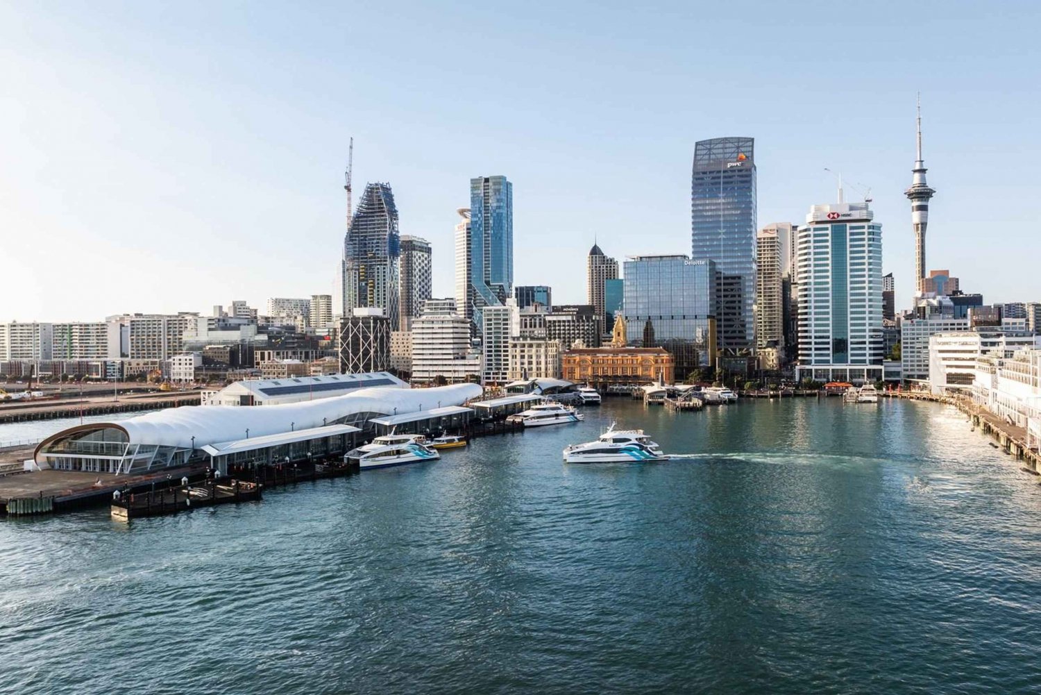 Auckland: Naturskønt sightseeing-krydstogt i havnen