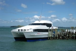 Auckland: Naturskønt sightseeing-krydstogt i havnen