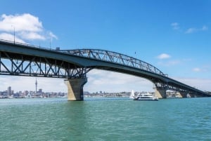 Auckland: Naturskønt sightseeing-krydstogt i havnen