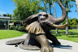 Auckland: Biglietto d'ingresso per i Giardini e le Gallerie dello Sculptureum