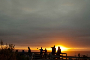 奥克兰:日落 & 朗伊托托岛夜海皮艇之旅