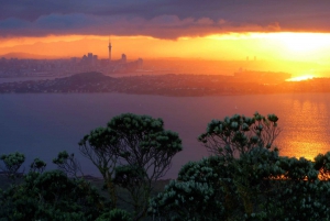 Auckland: Sunset & 朗伊托托岛夜海皮艇之旅