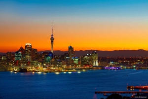 Auckland: Sunset & 朗伊托托岛夜海皮艇之旅