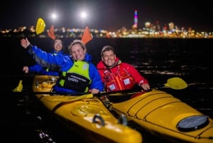 Auckland: Excursión nocturna y al atardecer en kayak de mar a la isla de Rangitoto