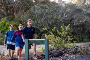 Auckland: Zachód słońca i nocna wycieczka kajakiem morskim na wyspę Rangitoto