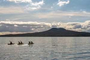 Auckland: Excursión nocturna y al atardecer en kayak de mar a la isla de Rangitoto