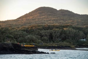 Auckland: Excursión nocturna y al atardecer en kayak de mar a la isla de Rangitoto