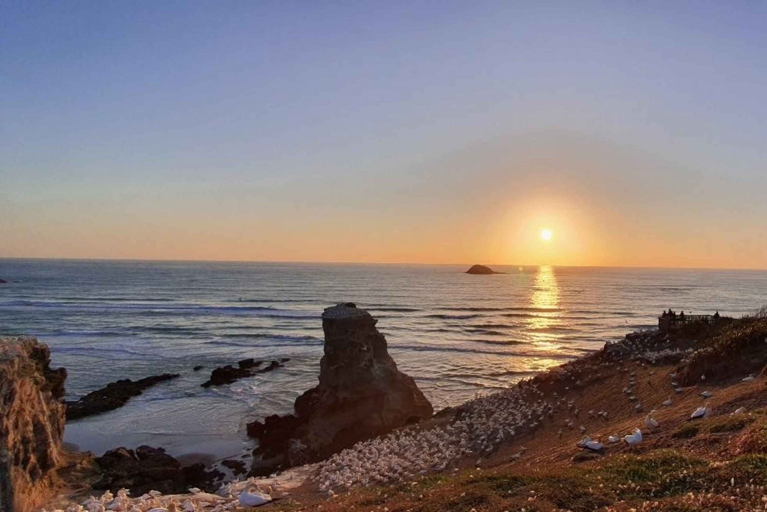 Auckland: Tour noturno com piscina térmica e vista para o pôr do sol