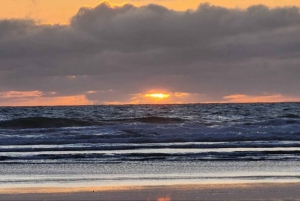 Auckland: Tour al atardecer con piscina termal y vista nocturna