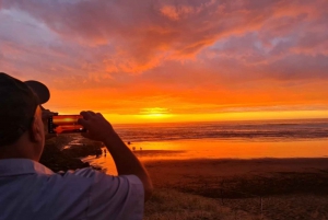 Auckland: Sunset Tour with Thermal pool & Night view