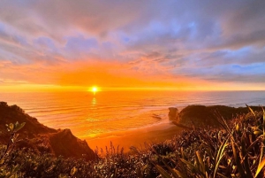 Auckland: Tour al atardecer con piscina termal y vista nocturna