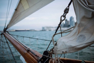奥克兰:泰德·阿什比帆船之旅 & 海事博物馆门票