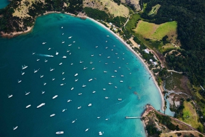 Auckland: Tikapa Moana Whales, Dolphins and Islands Cruise