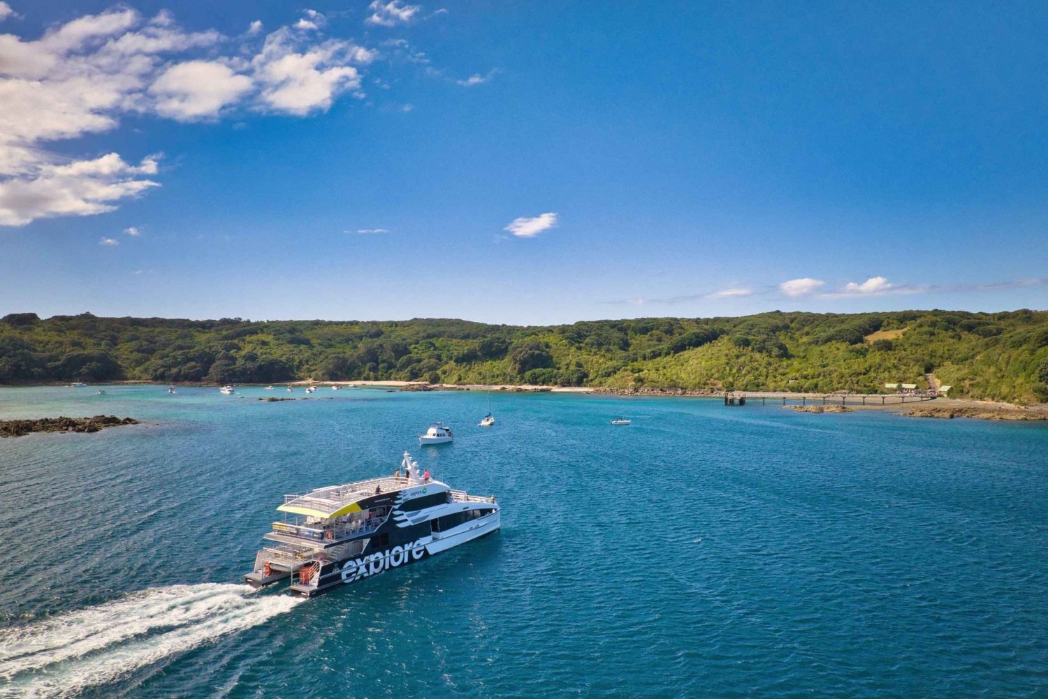 Auckland: Ferry a la isla Tiritiri Matangi