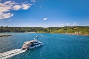 Auckland: Prom na wyspę Tiritiri Matangi