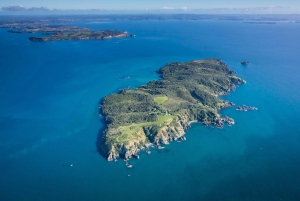 Auckland: Prom na wyspę Tiritiri Matangi