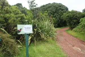 Auckland: Prom na wyspę Tiritiri Matangi