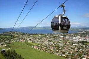 Auckland to Rotorua Small Group Tour & Activity Add-Ons