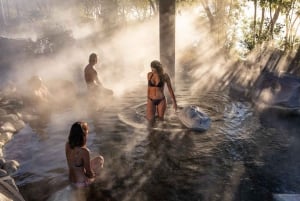 Auckland to Rotorua Small Group Tour & Activity Add-Ons