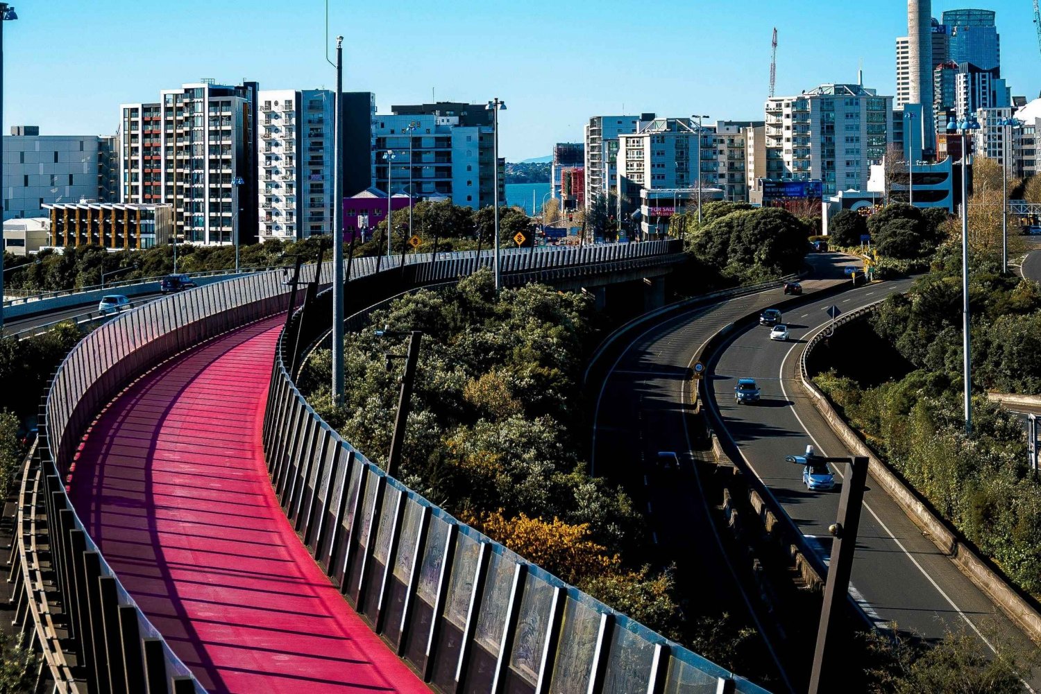 Excursão de meio dia pelas maravilhas urbanas de Auckland