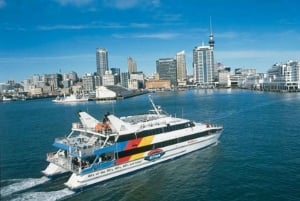 De Auckland: Ingresso de ferry rápido de ida e volta para Waiheke Island