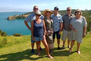 Waiheke岛: 3 Vineyards Shared Tour with Optional Lunch