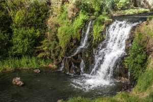 Wycieczka nad wodospad w Auckland