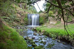 Auckland Waterfall Tour