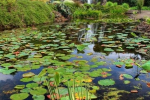 Visite des chutes d'eau d'Auckland