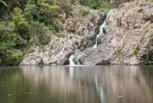 Excursión a las Cascadas de Auckland