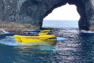 Baia delle Isole HOLE IN THE ROCK e WAITANGI TREATY GROUNDS