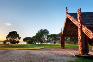 Baie des Îles HOLE IN THE ROCK & WAITANGI TREATY GROUNDS