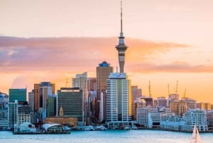 Best of Auckland: Private Walking Tour with a Local